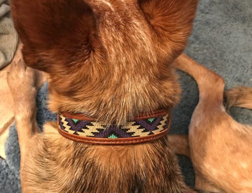 How To Clean A Custom-Beaded Dog Collar